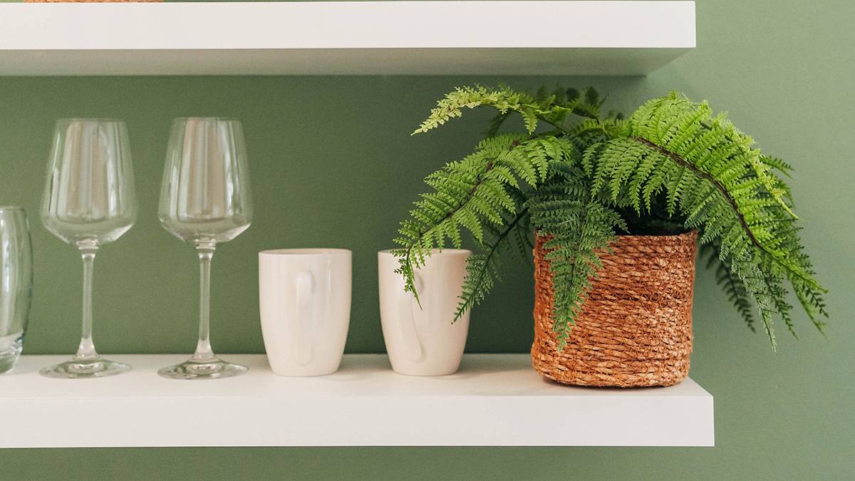 Pietermaai Boutique Hotel - Duplex Suite - Luxury Bathroom